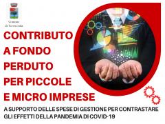 Bando contributi imprese: graduatoria provvisoria