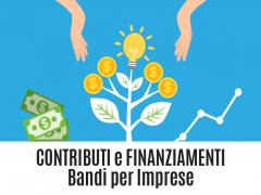 BANDO contributi a imprese di nuova costituzione o avviate nel 2023